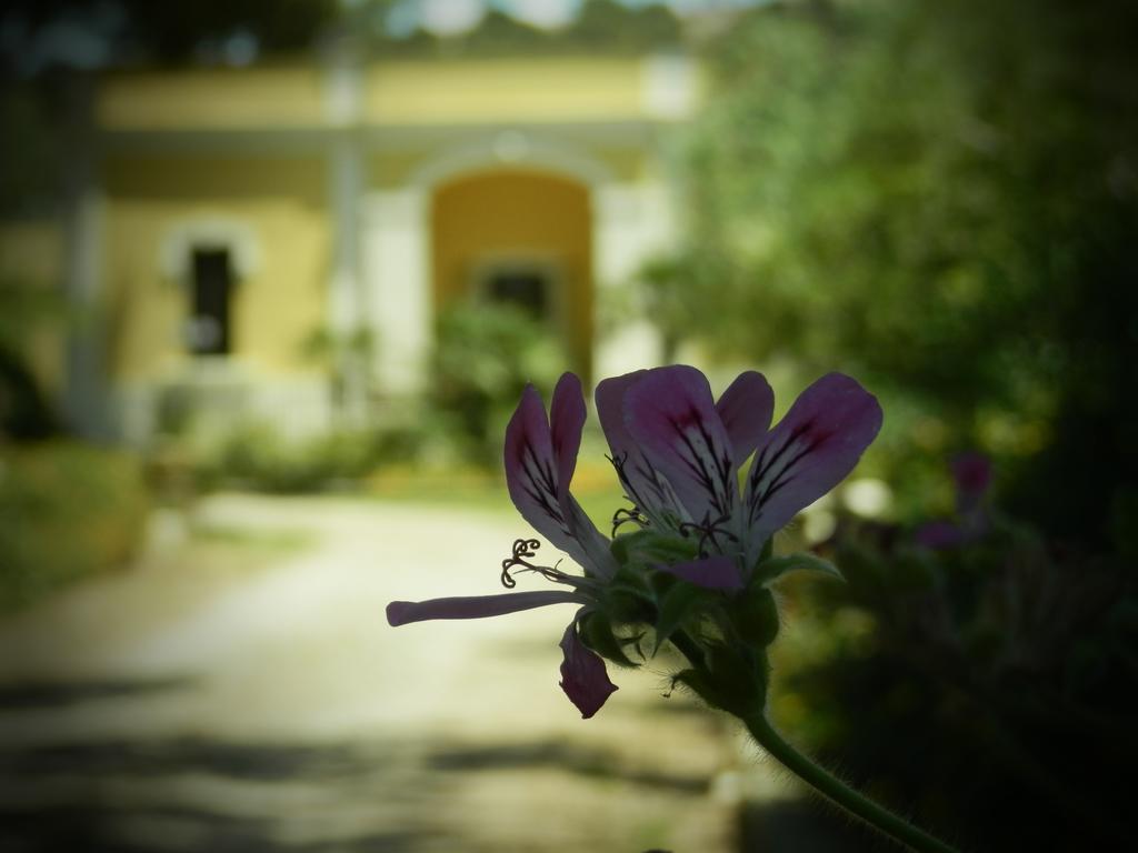 Dimora Relais Excelsa Gallipoli Exterior foto